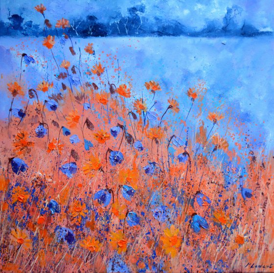 Blue cornflowers  at sunset