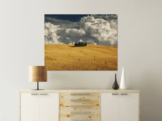 Landscape Art Photo: Tuscan Cypress Grove: Prelude to the Storm