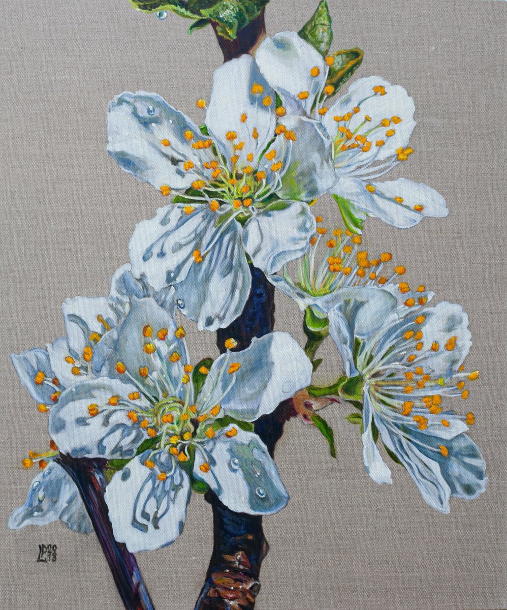 Plum Blossom by Liudmila Pisliakova