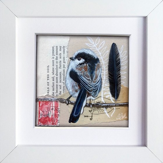 The Long tailed tit feather  (framed and ready to hang)