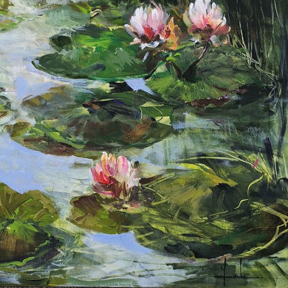 Pond with Water Lilies