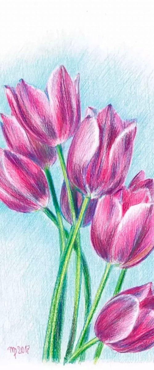 Pink Tulips by Morgana Rey