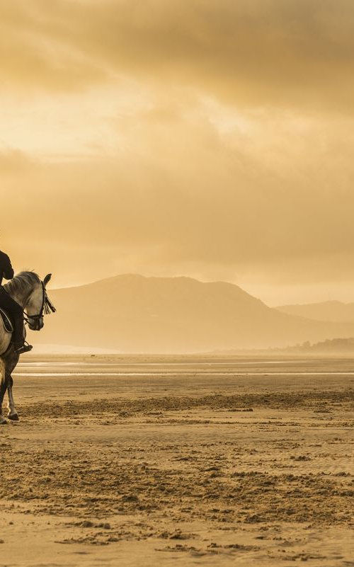 LONE RIDER by Andrew Lever