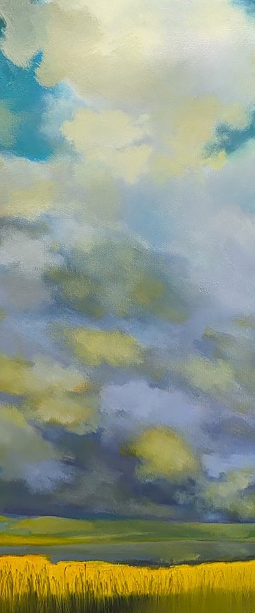 Spring Fields. by Veta  Barker