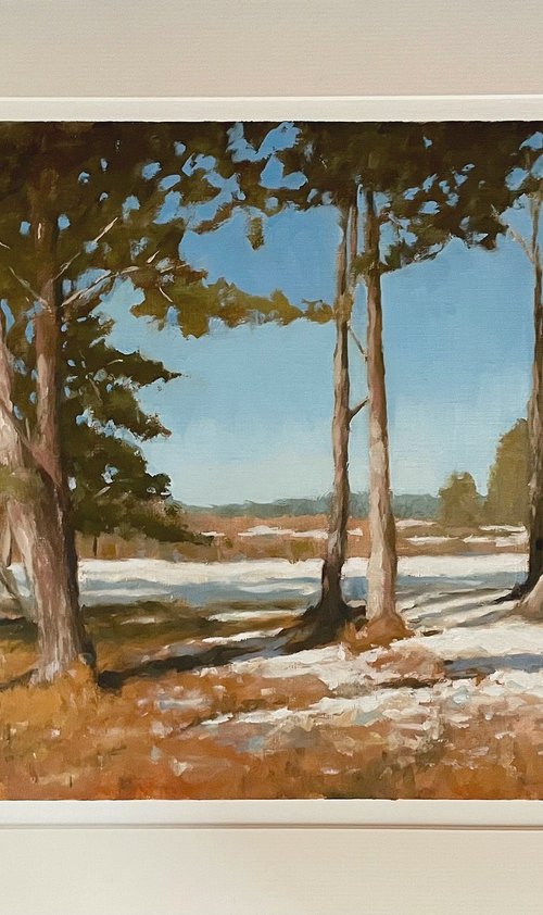 Winter Trees by Shaun Burgess