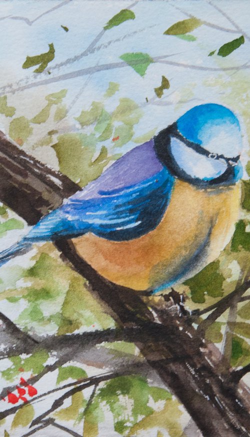 Blue tit bird painting. Original art. Little bird. by Tetiana Vysochynska