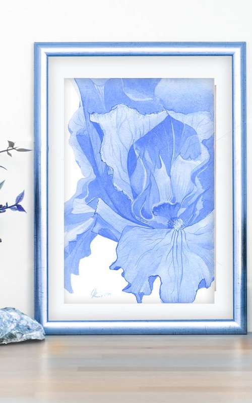 Blue Iris by Olga Koelsch