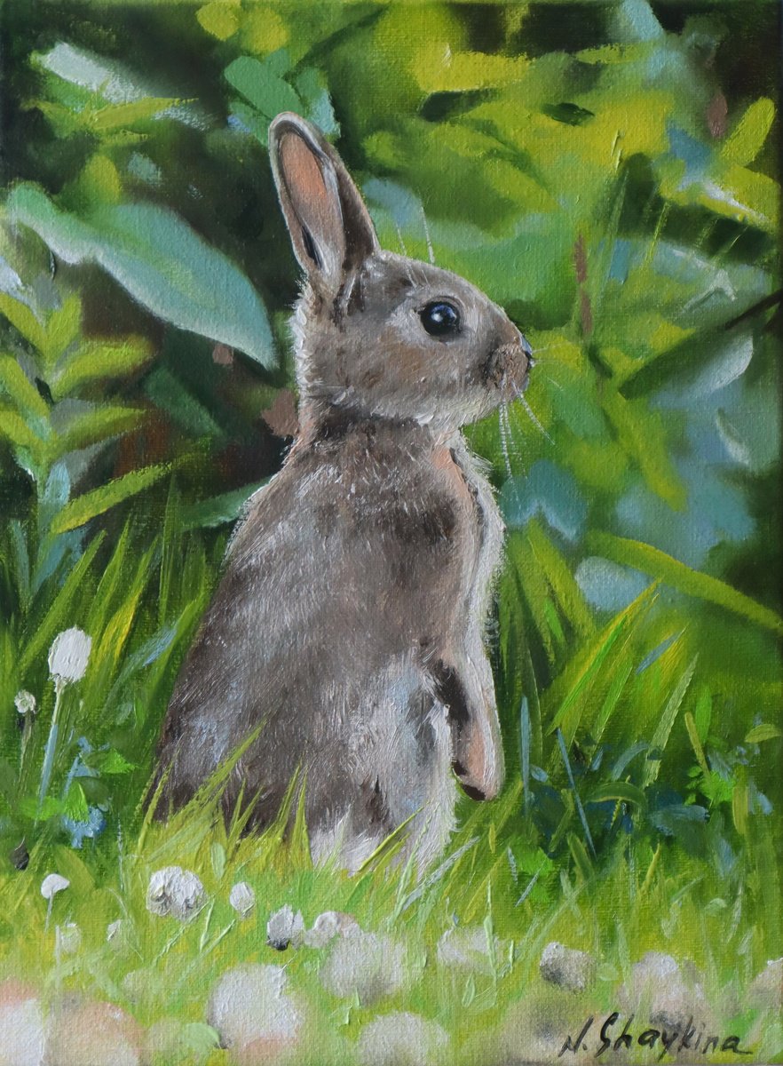 Little Bunny In Spring Grass By Natalia Shaykina, 7 X 9, Artwork For Sale On Artfinder