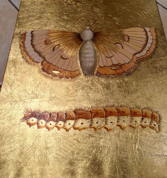 The Golden Moth Oil Painting on Lacquered Golden Leaf Canvas