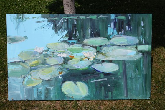 "Water Lilies "