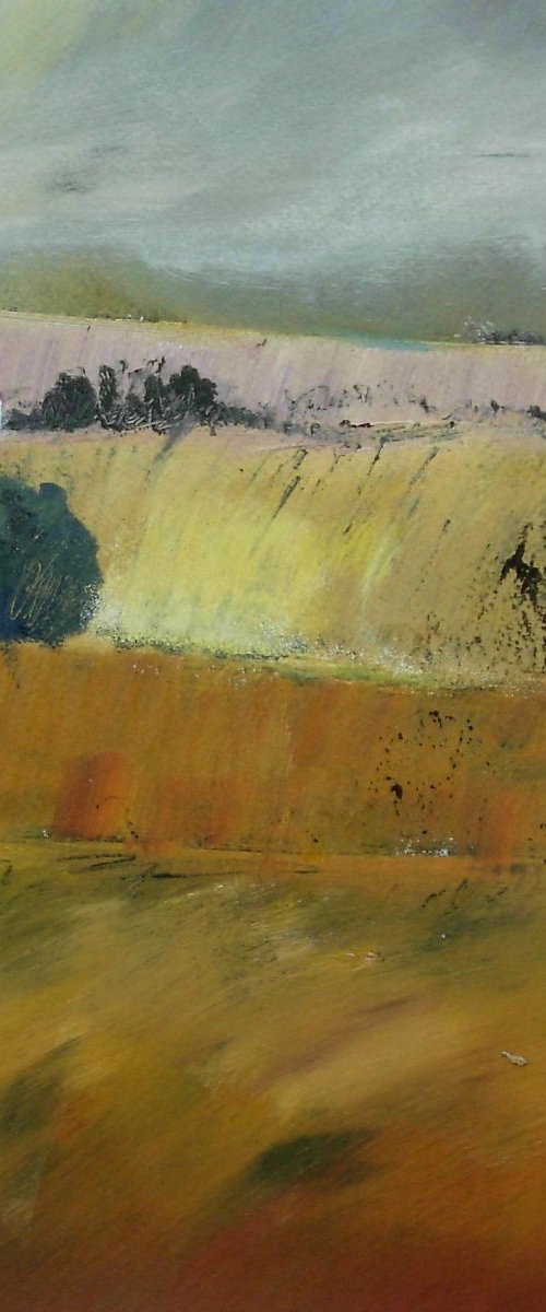 The  White Cottage by Jan Rippingham