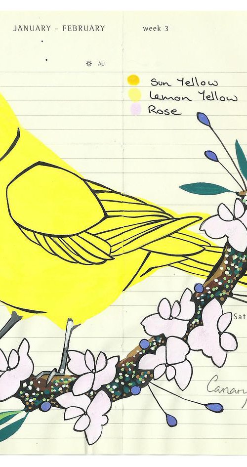 Birds of Europe: Canary by Fran Giffard