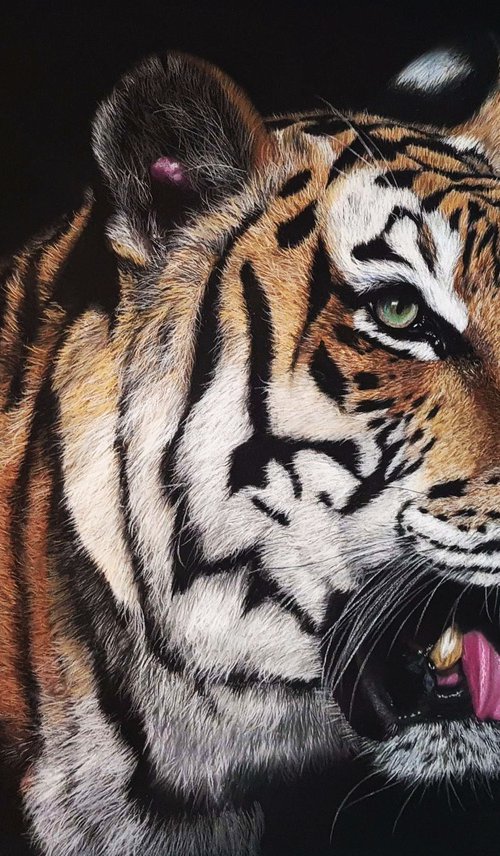 Tiger realism wild animals pastel on pastelmat by Deimante Bruzguliene