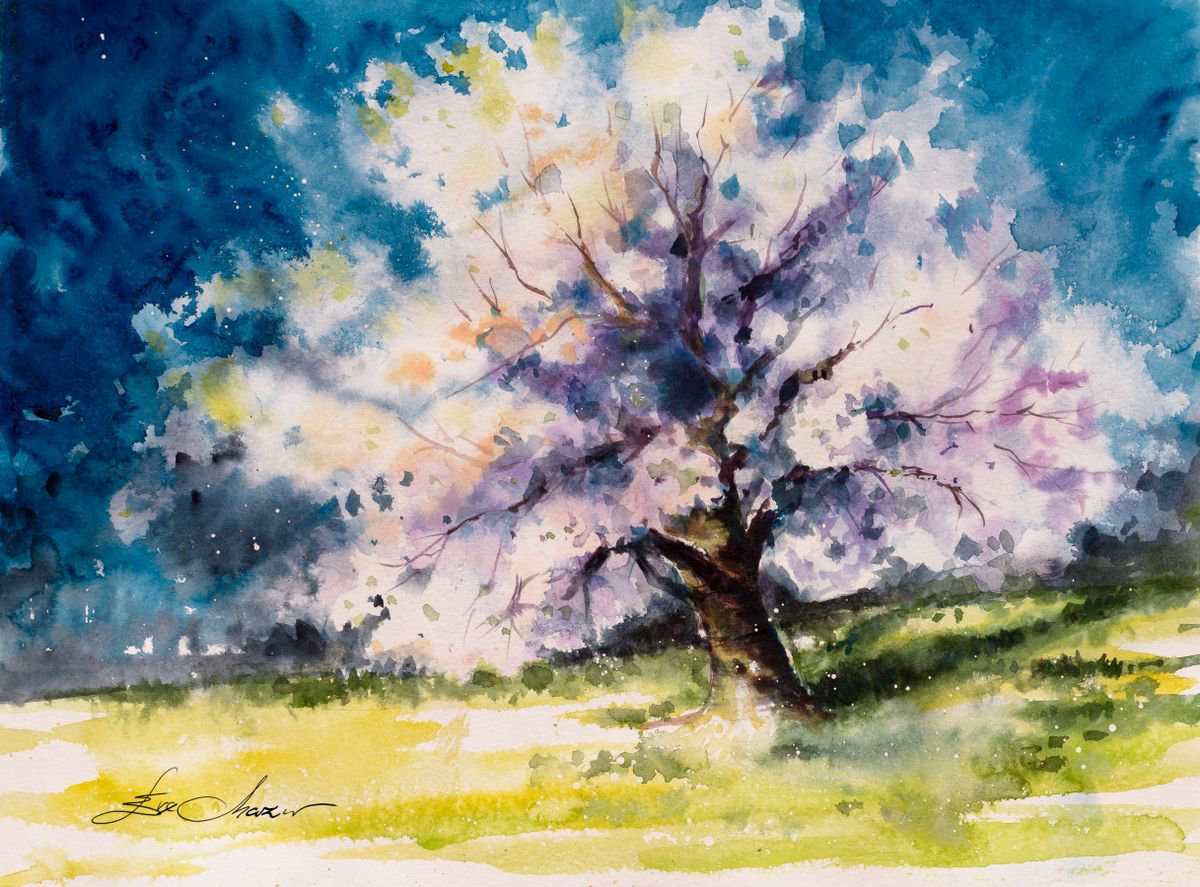 Cherry tree by Eve Mazur