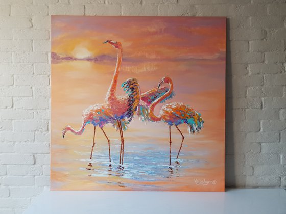 Flamingos