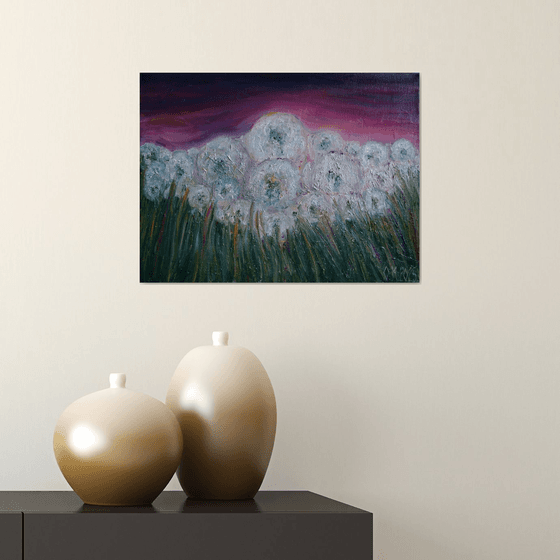 Field of dandelions