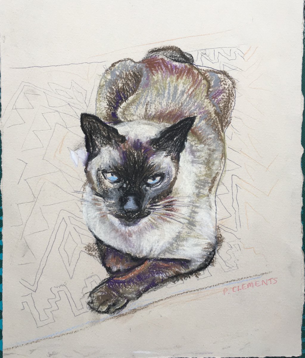 Bob the cat posing by Patricia Clements