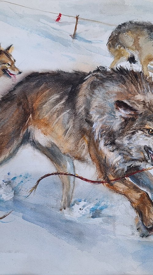 Escape for the flags by Irina Bibik-Chkolian