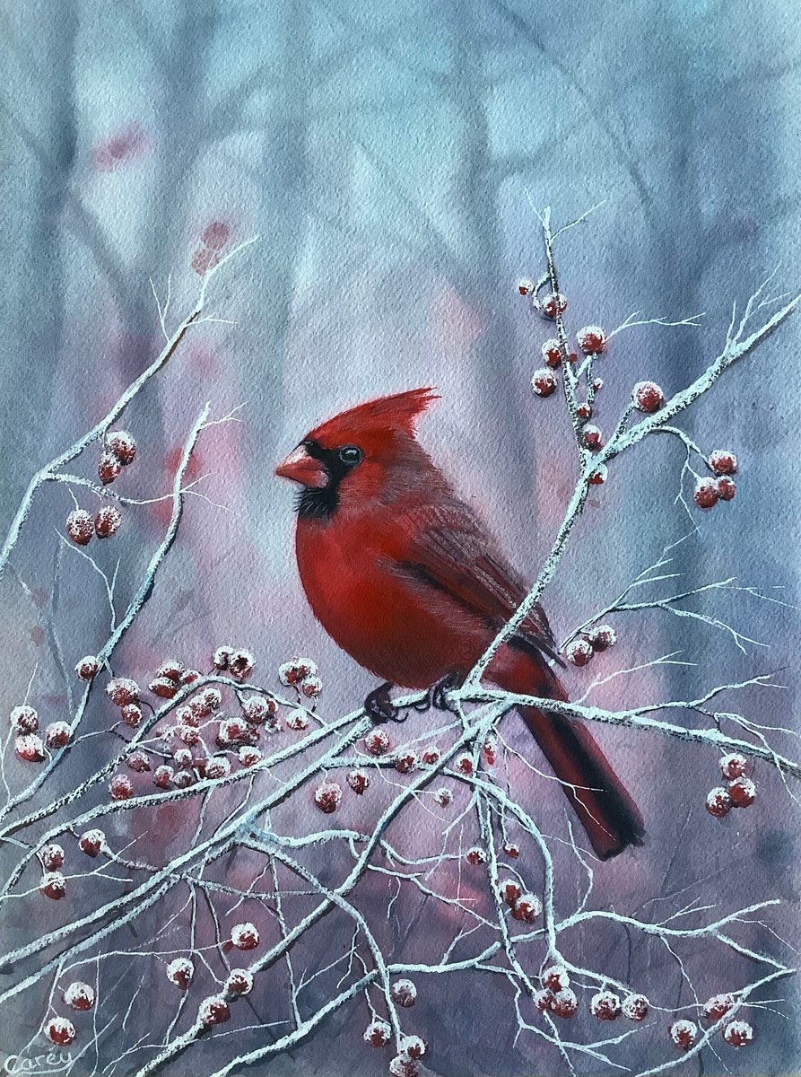 Photorealistic Animal Watercolour By Darren Carey, 11 X 15, Northern Cardinal, Original Artwork