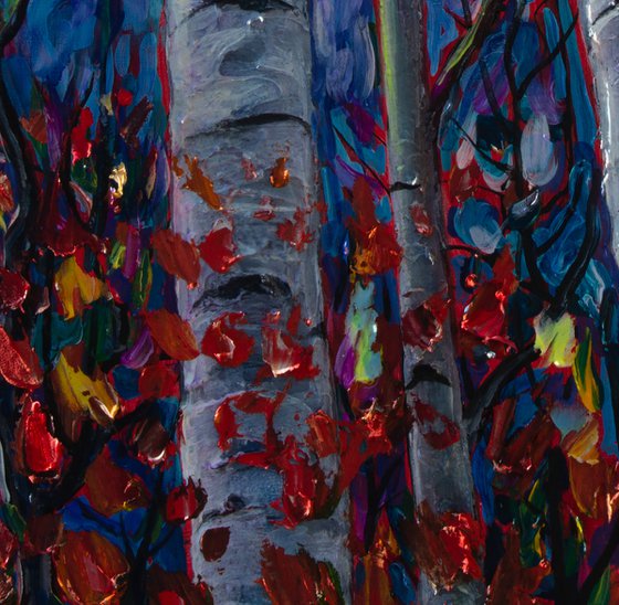 Aspen and Maple Trees