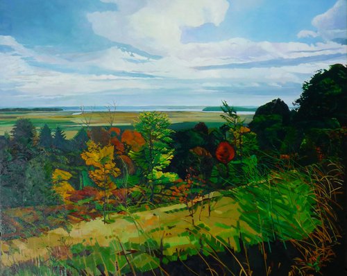 (large) Autumn views of Distant Lake by Julie Goulding