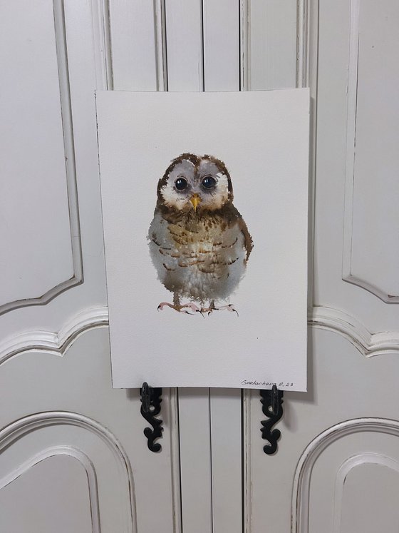 Little owl #2