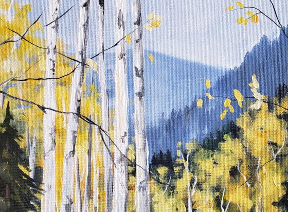 Landscape - Mountain Trees - "Aspen Meadow"