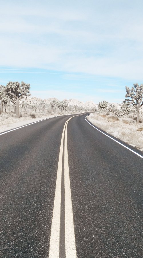 Joshua's Road by John Celeste