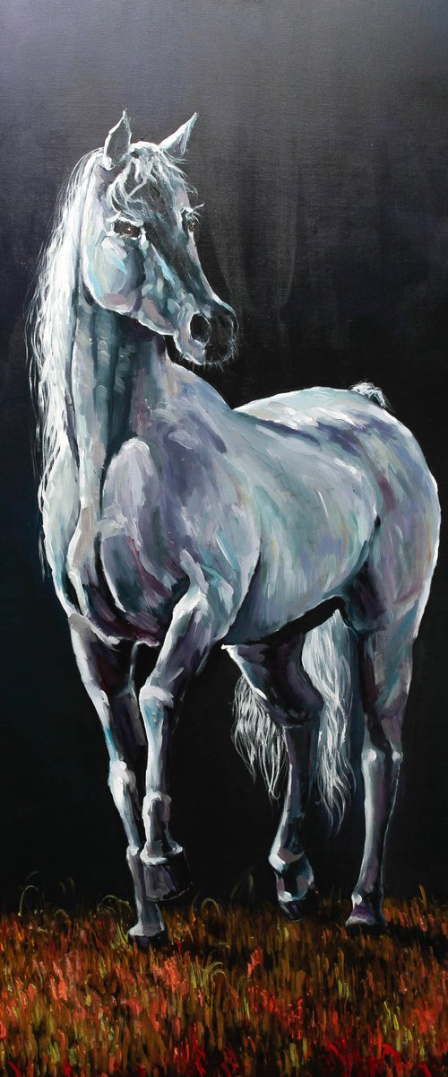 Horse by Ihor Bychkivskyy