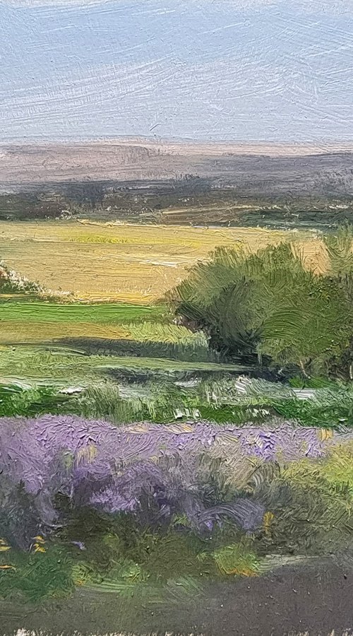 Champs des Combes by Pascal Giroud