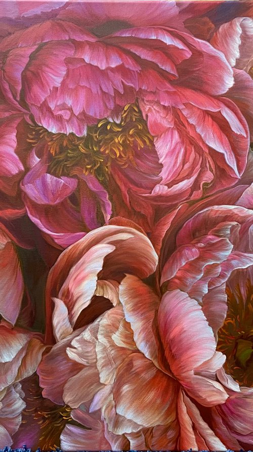 Peony symphony by Elena