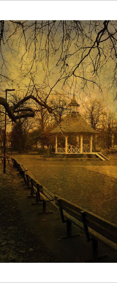 The Bandstand in the Park by Martin  Fry