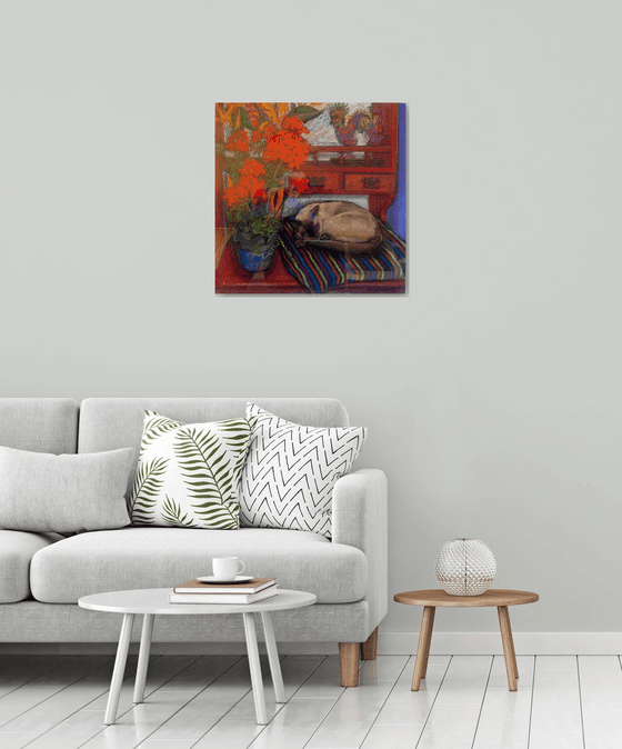 Bob the cat on the dresser