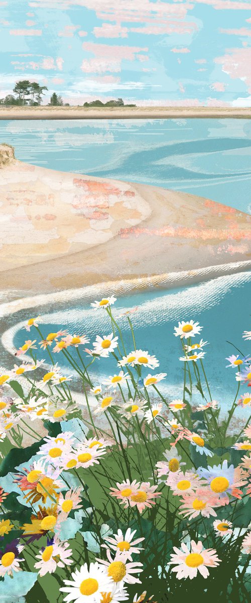 Salt Meadow by Claire Gill