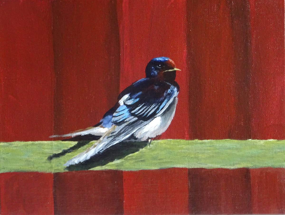 Swallow by Britta Kroger