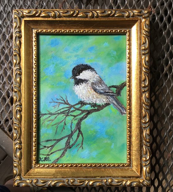 Chickadee # 27 - oil 6X4 inches