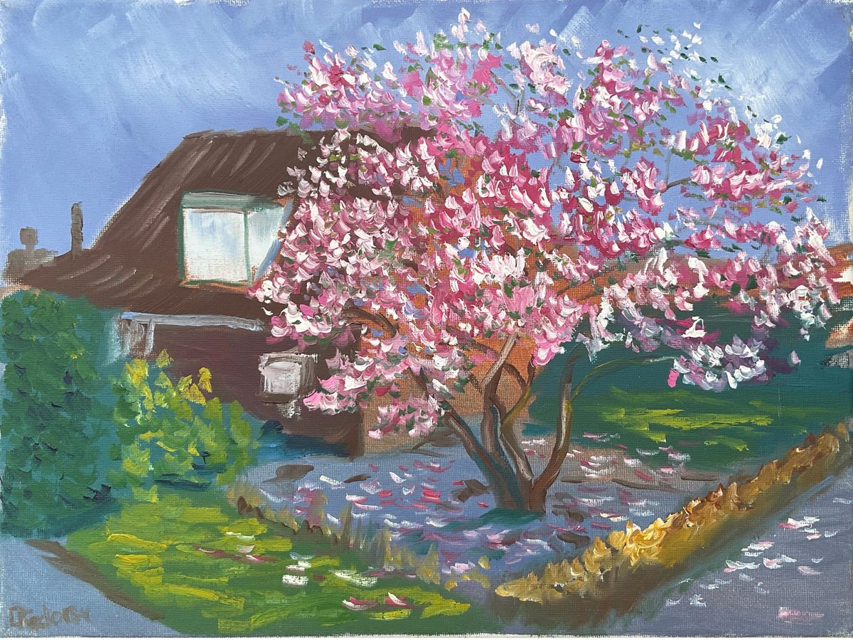 Impressionistic Landscape Oil Painting By Dmitry Fedorov, 16 X 12, Blooming Magnolia In Dalen, Original Artwork