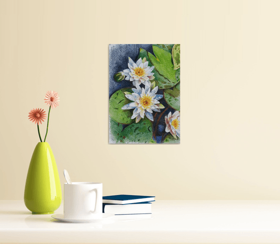 Waterlilies