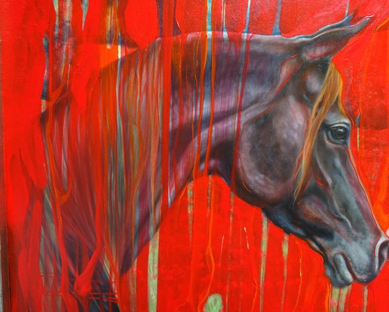 Equine Dreaming - large abstract oil painting in red and black with two black Arabian horses in a poppy field
