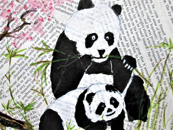 Mother and Baby Panda bears