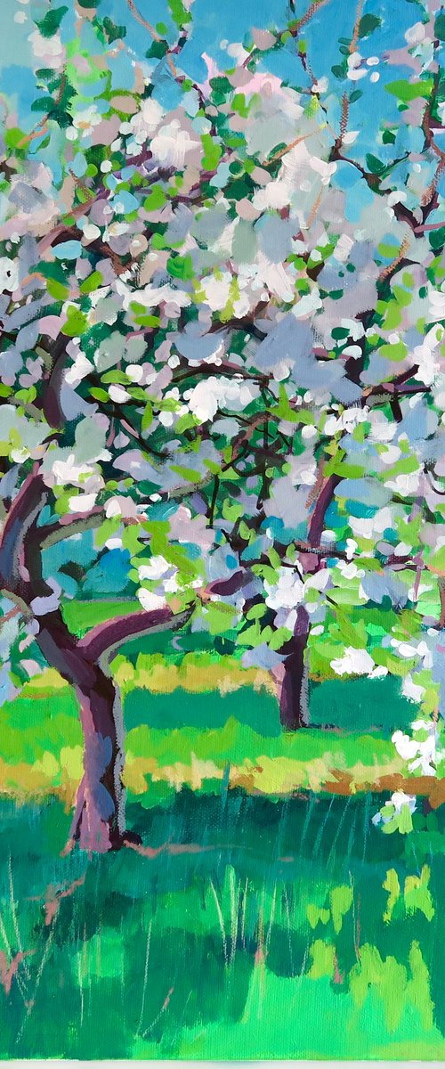 Spring Apple Orchard by Diana Davydova