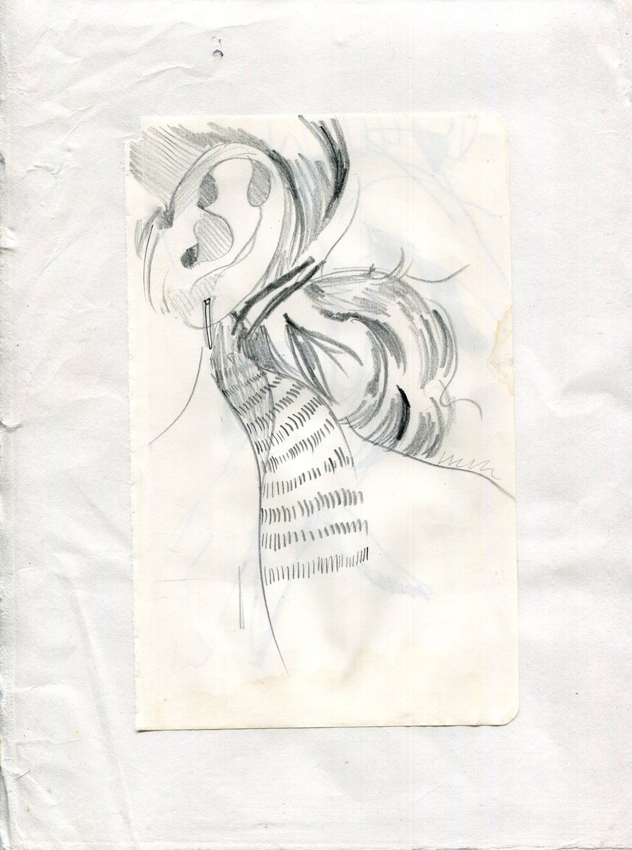 Ear, a sketch by Hannah Clark