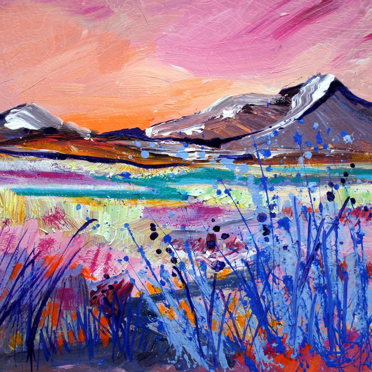 Scottish Highlands by Julia  Rigby