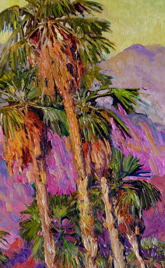 Palm Trees of the Desert