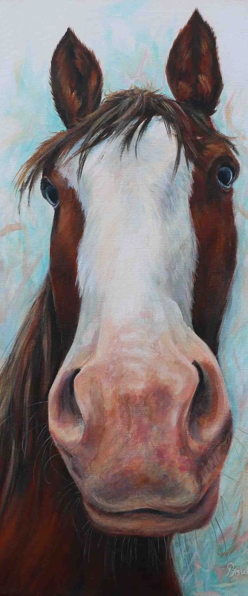 Dolly by Ruth  Aslett