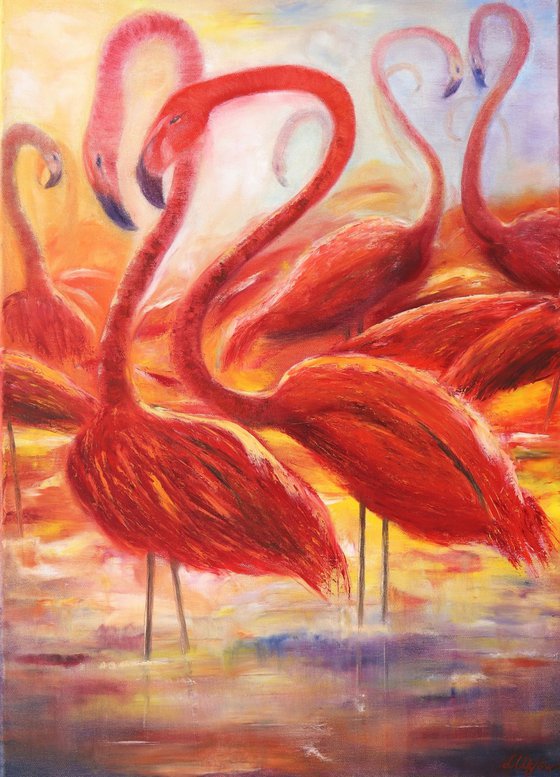 Red flamingos