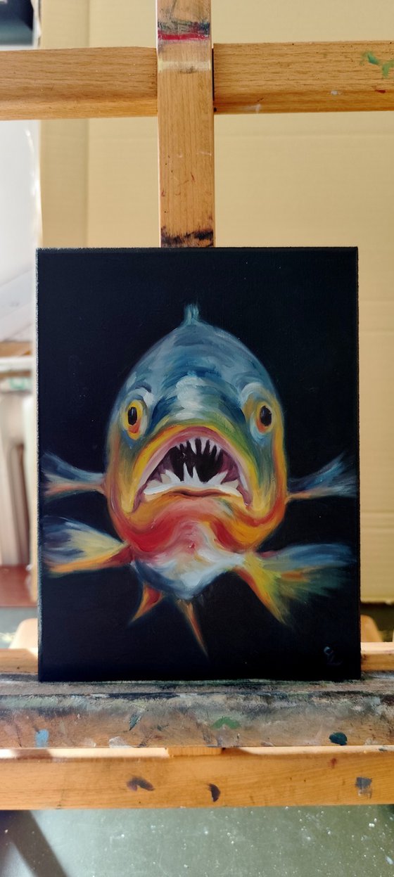 Splash, portrait of fish