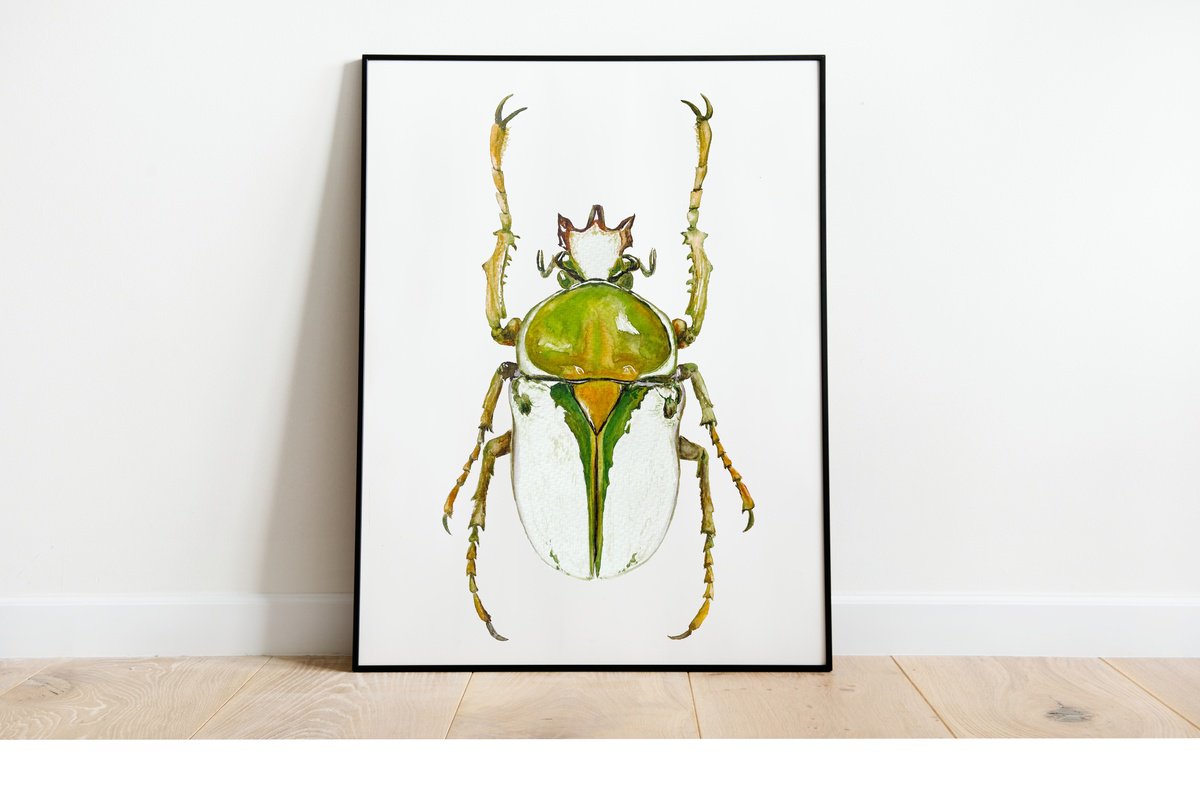 Rhamphorrhina bertolonii Lucas, beetle in the sun’s rays in bright yellow green colour by Tetiana Savchenko