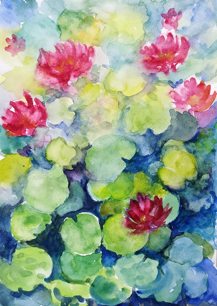 Lotuses in a Pond - Watercolour Water Lilies on paper 11.75x 8.25 by Asha Shenoy