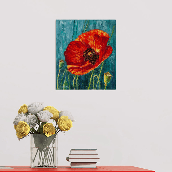 Red poppy